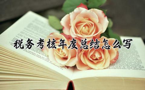 税务考核年度总结怎么写范文 税务考核个人年度总结报告