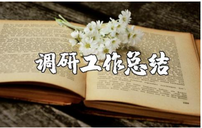 领导班子调研工作总结报告范文 领导班子调研工作进展汇报