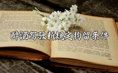 2024年醉酒驾驶新规定拘留条件及程序执行