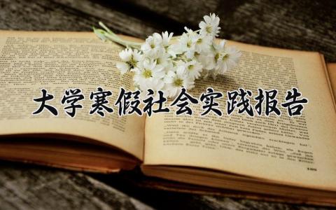 大学寒假社会实践报告范文 大学生寒假实践总结汇报