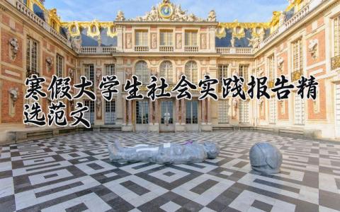 寒假大学生社会实践报告精选范文汇总2024