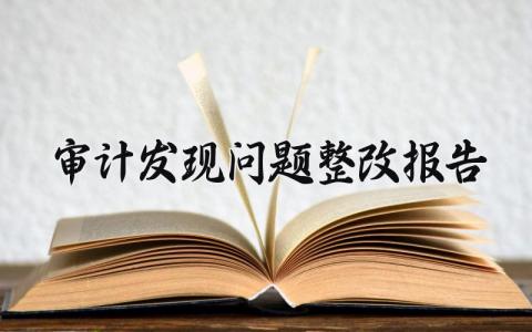 审计发现问题整改报告范文 审计发现问题整改报告咋写