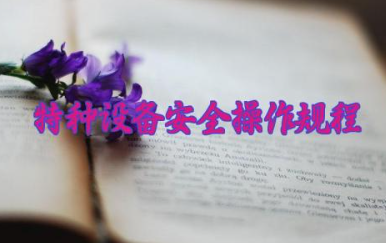 特种设备安全操作规程内容 特种设备安全隐患处理办法
