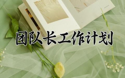 团队长工作计划 团队长的工作总结与计划 (8篇)