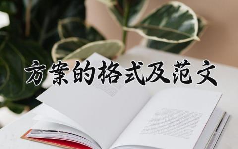 方案的格式及范文 关于方案的格式及范文 (15篇)
