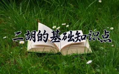 二胡的基础知识点 二胡的音色特点