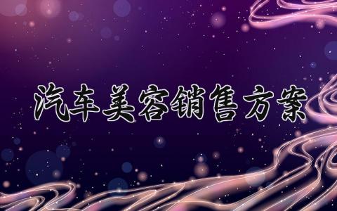 汽车美容销售方案 汽车美容的销售策略 (16篇）