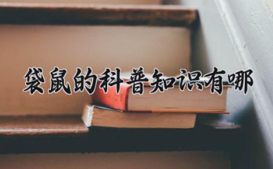 袋鼠的科普知识有哪些 袋鼠的生活特性