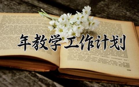 2024年教学工作计划范文 2024年教学工作计划初中模板 (18篇）