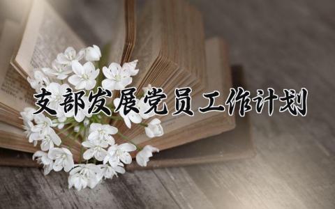 支部发展党员工作计划素材 支部发展党员工作计划最新 (6篇）