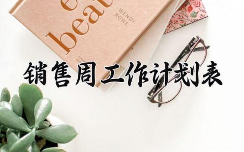 销售周工作计划内容 销售周工作计划模板 (3篇)