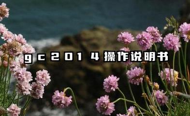 gc2014操作说明书中文版操作规则详解