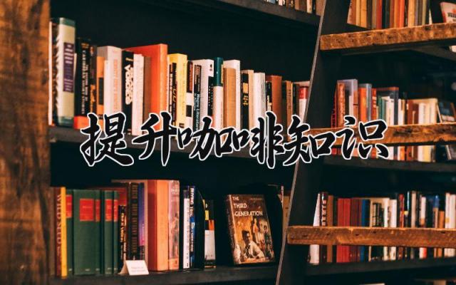 提升咖啡知识 提升咖啡知识的方法（4篇）