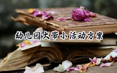 幼儿园大带小活动方案 幼儿园大带小的活动方案小班(14篇)