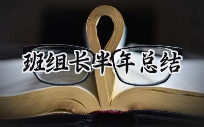 班组长半年总结 班组长的半年总结报告(13篇)