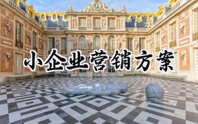 小企业营销方案 小企业的营销方案怎么写（15篇）