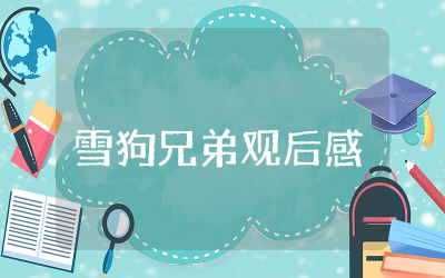 雪狗兄弟观后感范文  雪狗兄弟观后感或影评通用