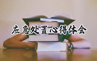 应急处置心得体会总结范文 (5篇)