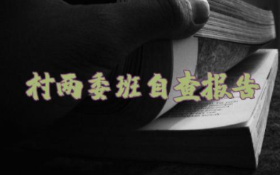村两委班子个人自查报告及整改措施报告汇总（通用15篇）