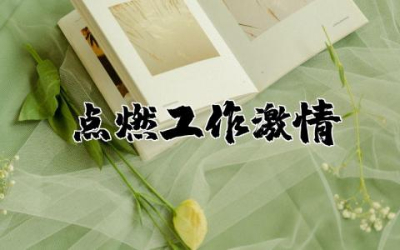点燃工作激情读后感心得体会 点燃工作激情读后感及收获