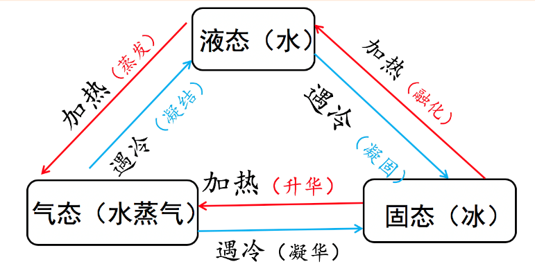 小学三年级科学知识点归纳总结及自然科学基础知识资料整理