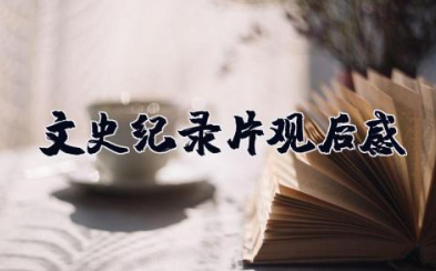 文史纪录片观后感500字 观看历史纪录片心得体会