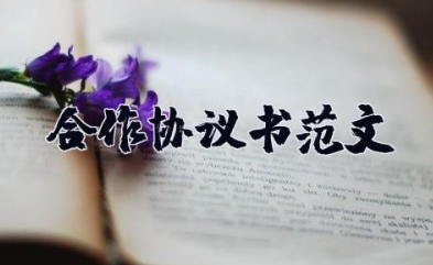 合作投资协议书范文 公司合伙人协议书范本