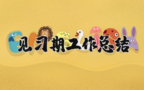 见习期工作总结精选范文 实习期工作总结报告汇总