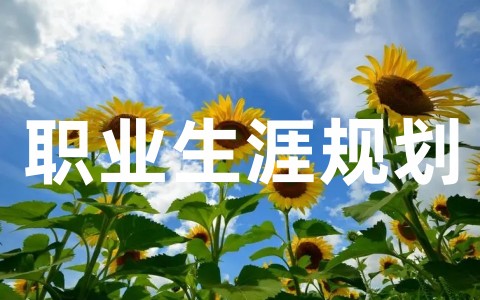 大学生个人优秀职业生涯规划（通用19篇）
