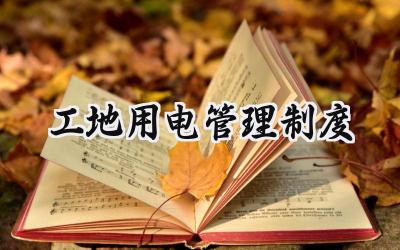 2025最新工地用电管理制度总结范文 (14篇）