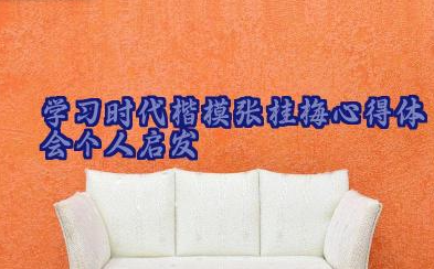 学习时代楷模张桂梅心得体会个人启发范文合集17篇