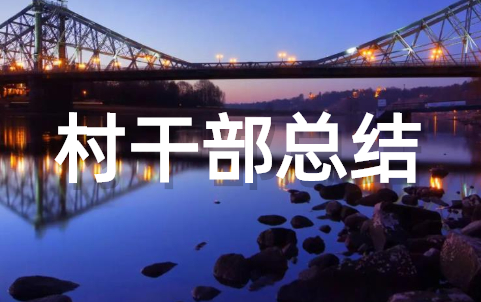 2023村干部个人总结 驻村干部个人年末总结