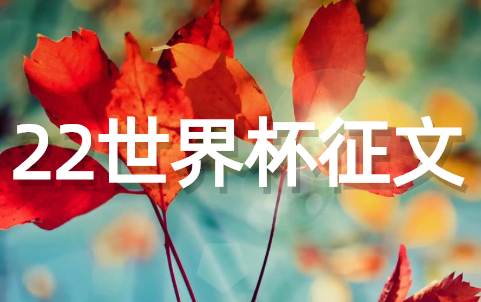 2023年世界杯足球征文（精选21篇）