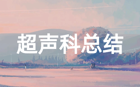 2023超声科医师年度总结大全