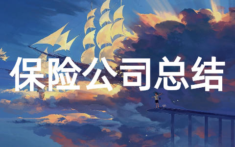2023年保险公司年终工作总结大全