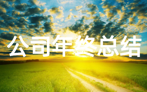 公司年终总结范文大全(精选14篇)