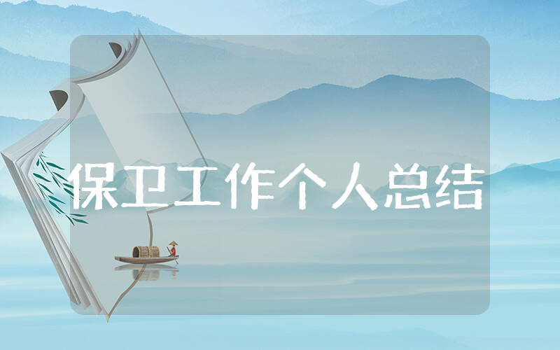 保卫工作个人总结
